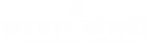 Brand logo light